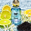ZARFIA Dream - 50ml Premium Perfume | Inspired by LV Imagination